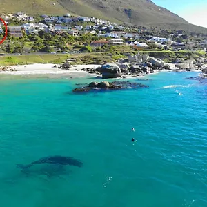 Apartment Rock, Simonʼs Town
